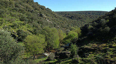 PUENTE DE MAYO - RUTA 02 - PARQUE DE MONFRAGUE, CERRO GIMIO Y ARROYO DE MALVECINO